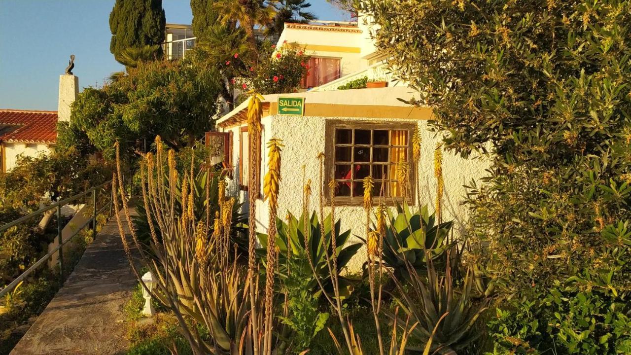 Willkommen Im Paradies - Welcome In Paradise - Bienvenidos Al Paraiso La Matanza De Acentejo Ngoại thất bức ảnh