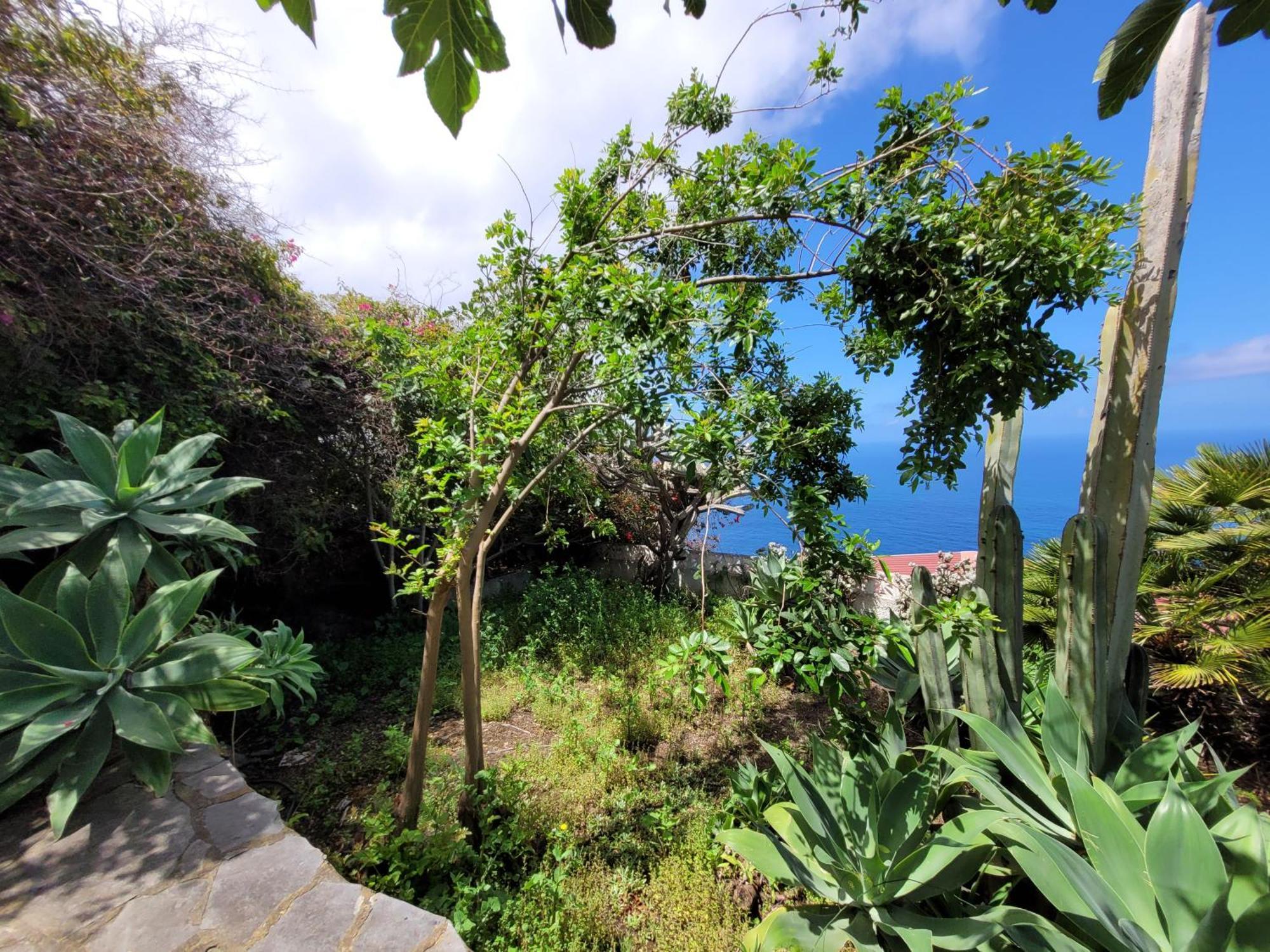 Willkommen Im Paradies - Welcome In Paradise - Bienvenidos Al Paraiso La Matanza De Acentejo Ngoại thất bức ảnh