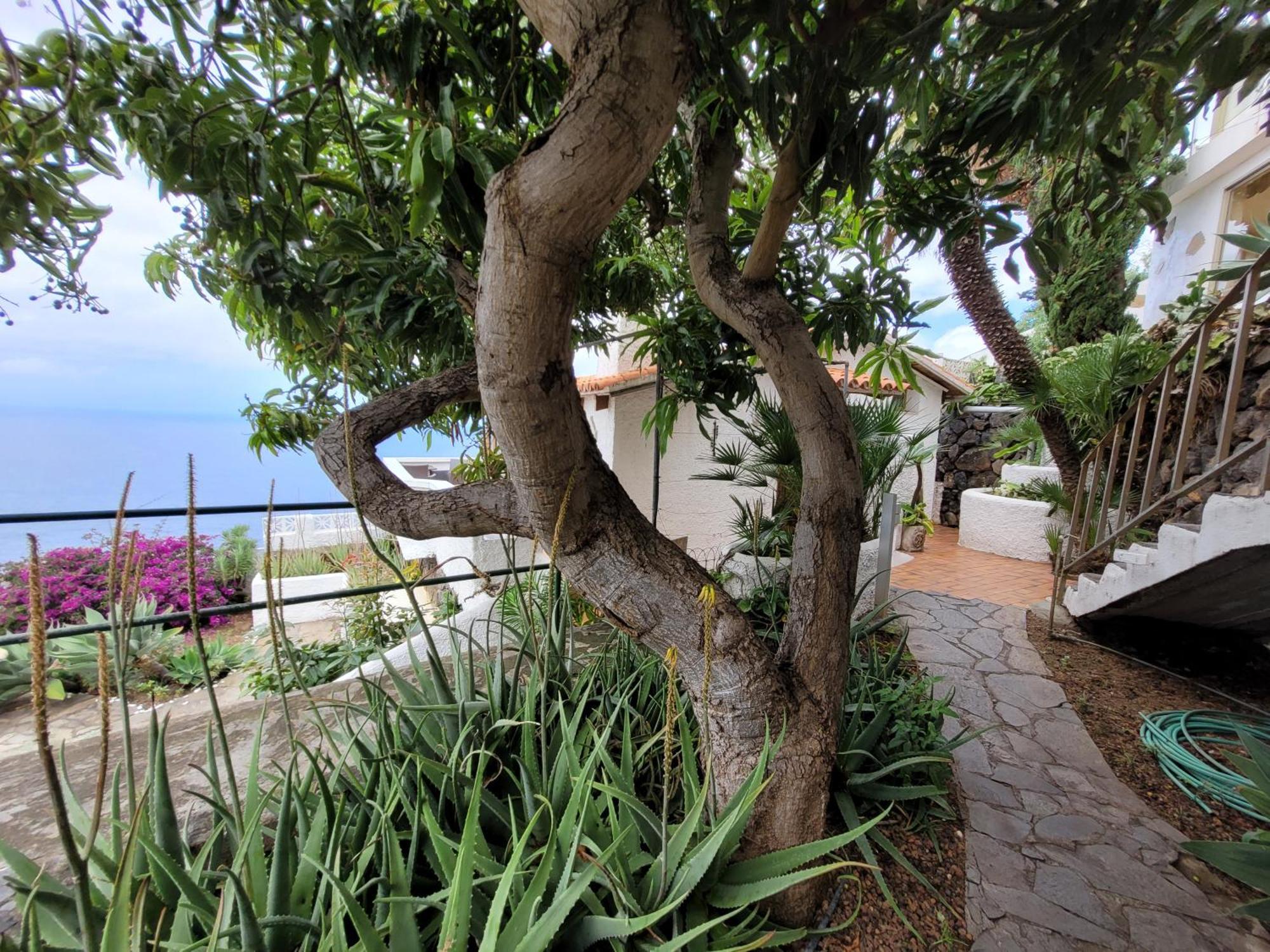 Willkommen Im Paradies - Welcome In Paradise - Bienvenidos Al Paraiso La Matanza De Acentejo Ngoại thất bức ảnh